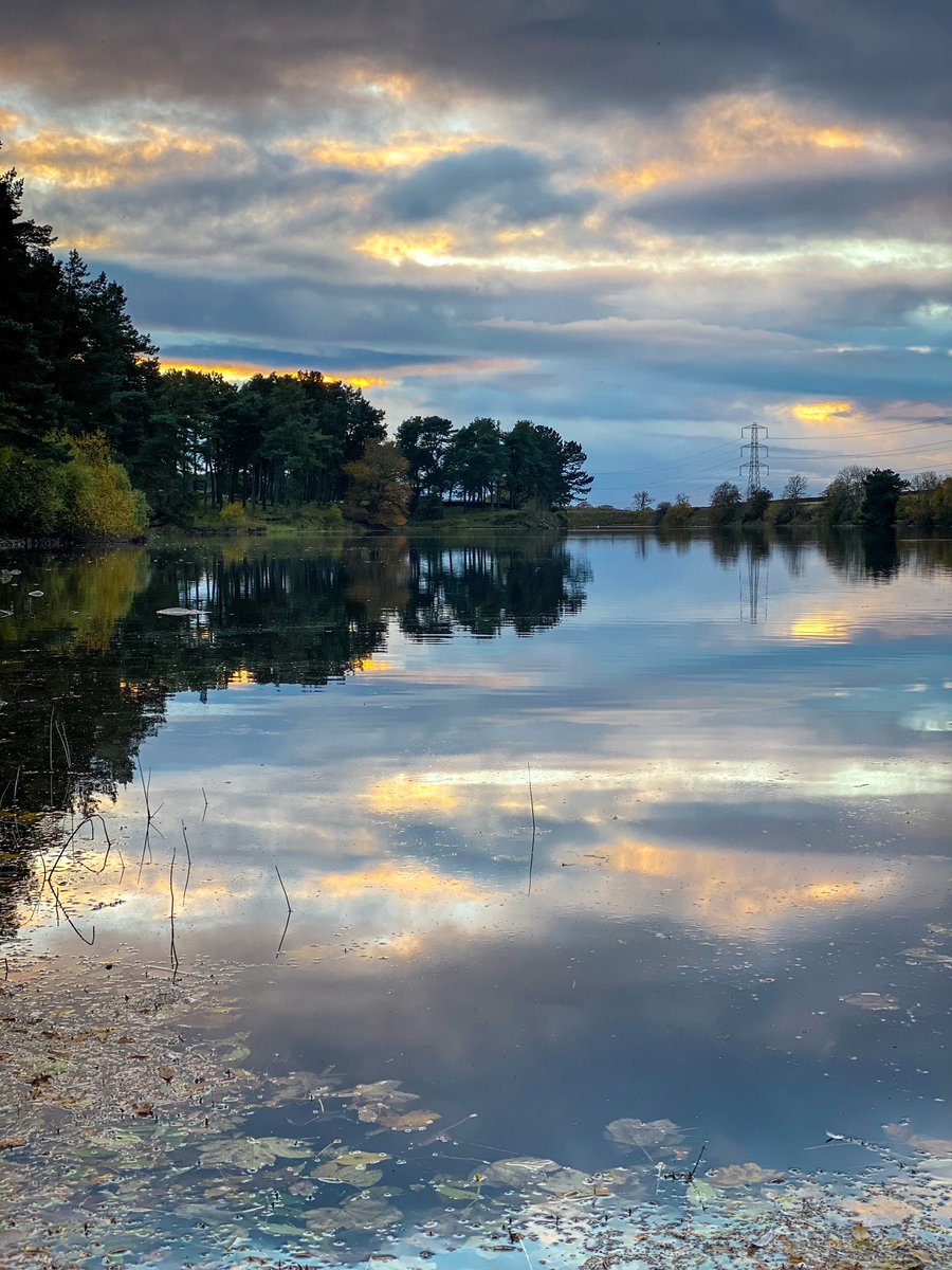 charlie_lees's tweet photo. #100DaysOfPositivity Day 23: relentless positivity. 

I think we are all feeling a bit apprehensive about the winter months ahead. I certainly am. My approach is to tackle it head on with a relentlessly positive attitude. And running and taking /sharing lots of photos. https://t.co/PEmS0Kw5is