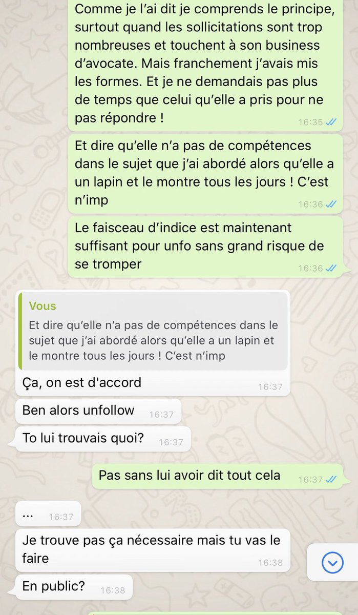 Je reçois alors soudain toute une série de captures d’écran de cette même personne en DM qui me poste une conversation où elle parle en vert (avec une amie)Je vous laisse apprécier le « classée connasse » et « sale pouffe »