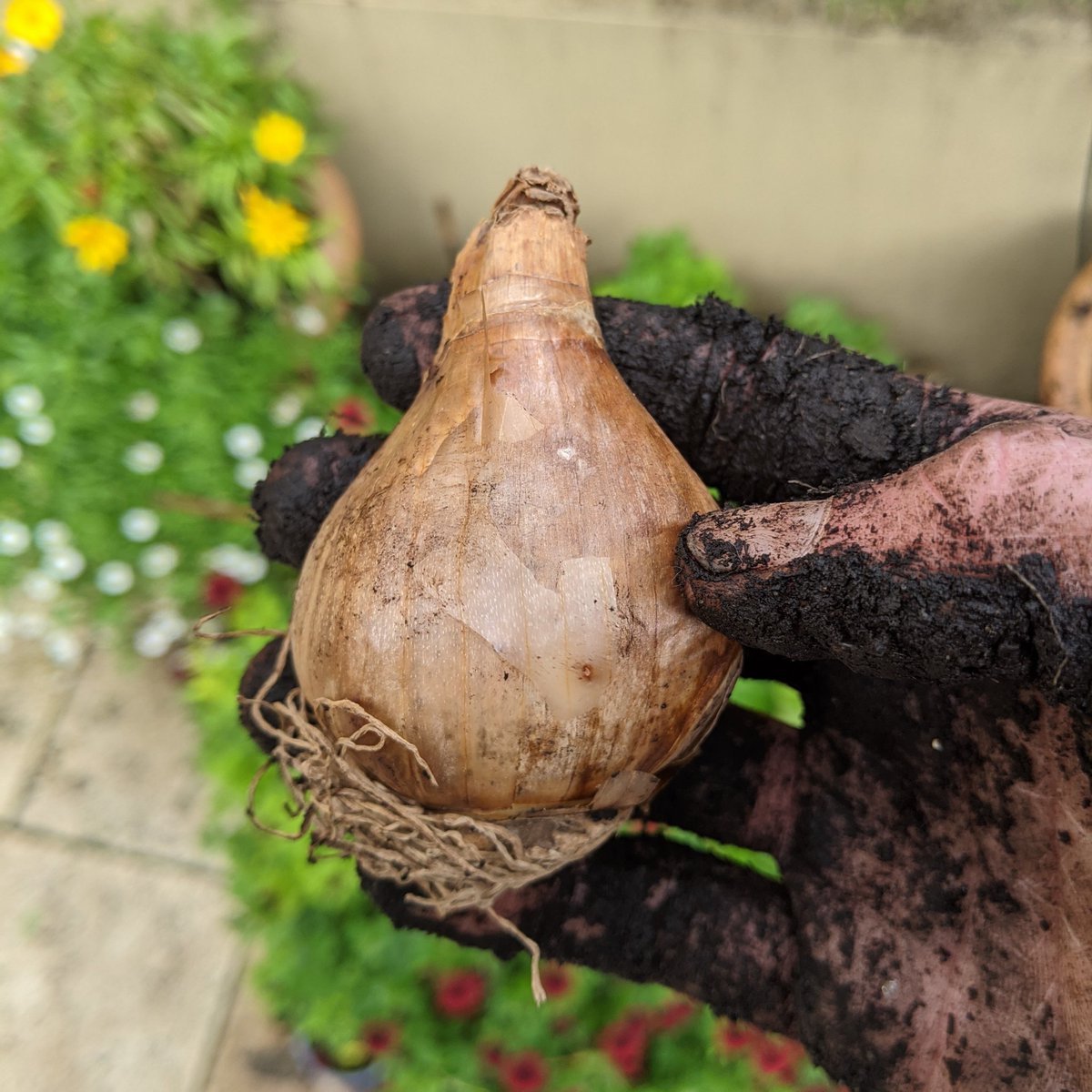 Scott Eblen tweet media