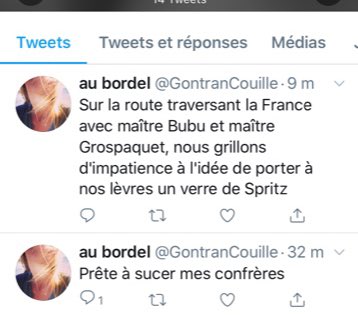 Pour être exhaustif,cette personne fait référence à 1faux compte imitant le mien créé en août par quelqu’un qui me harcèle depuis 3ans.ExtraitElle acquiesce donc à ce faux compte qui «me décrit sous 1jour crédible de pouffe»...car je n’ai pas donné de conseils pour son lapin