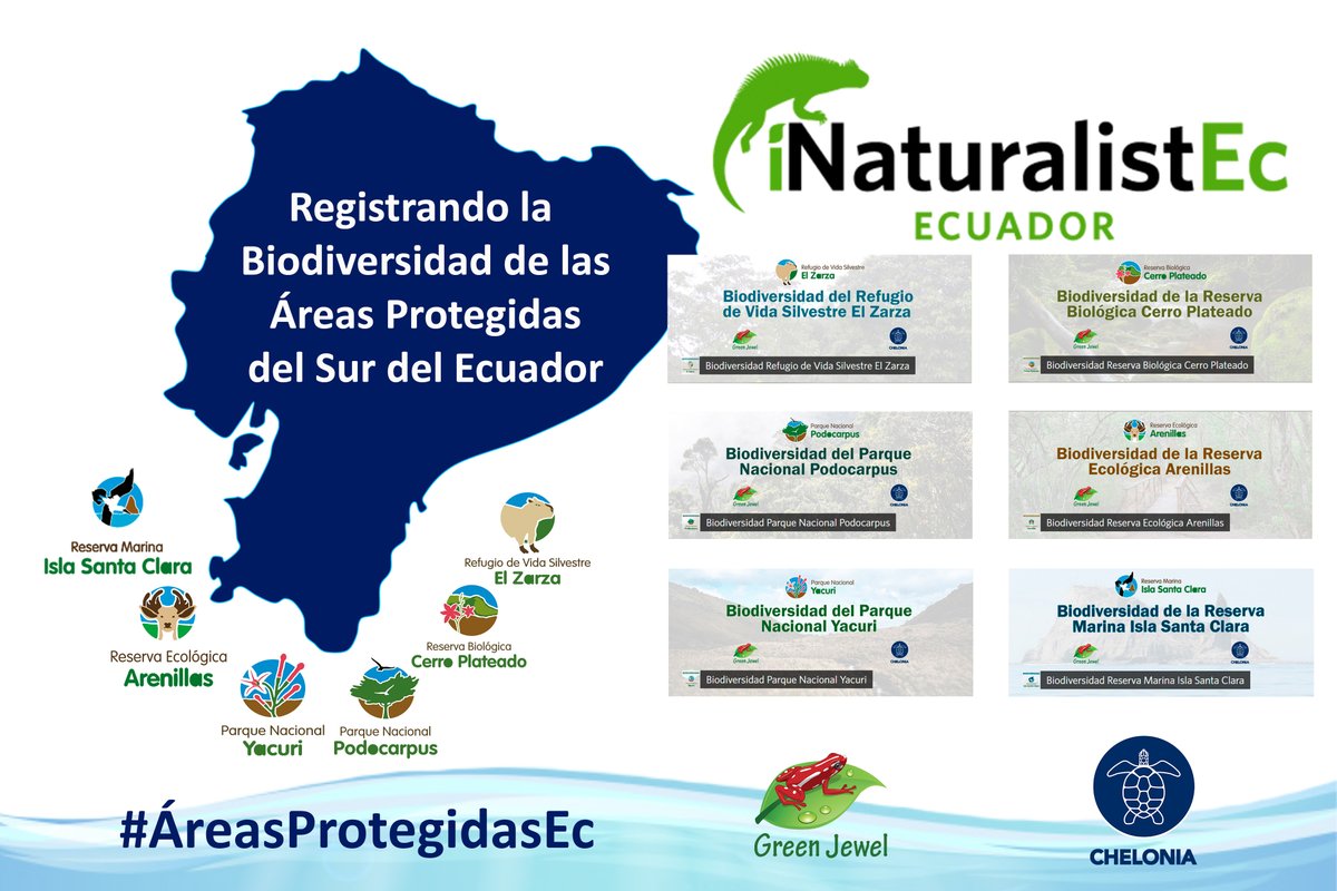 BIODIVERSIDAD DE LAS ÁREAS PROTEGIDAS
La biodiversidad de 6 áreas protegidas del sur del Ecuador será registrada a través de la plataforma #iNaturalistEc. Las #ÁreasProtegidas, #GreenJewel &amp; #Chelonia unen esfuerzos para esta gran iniciativa

¡Únete y sé parte de esta iniciativa!