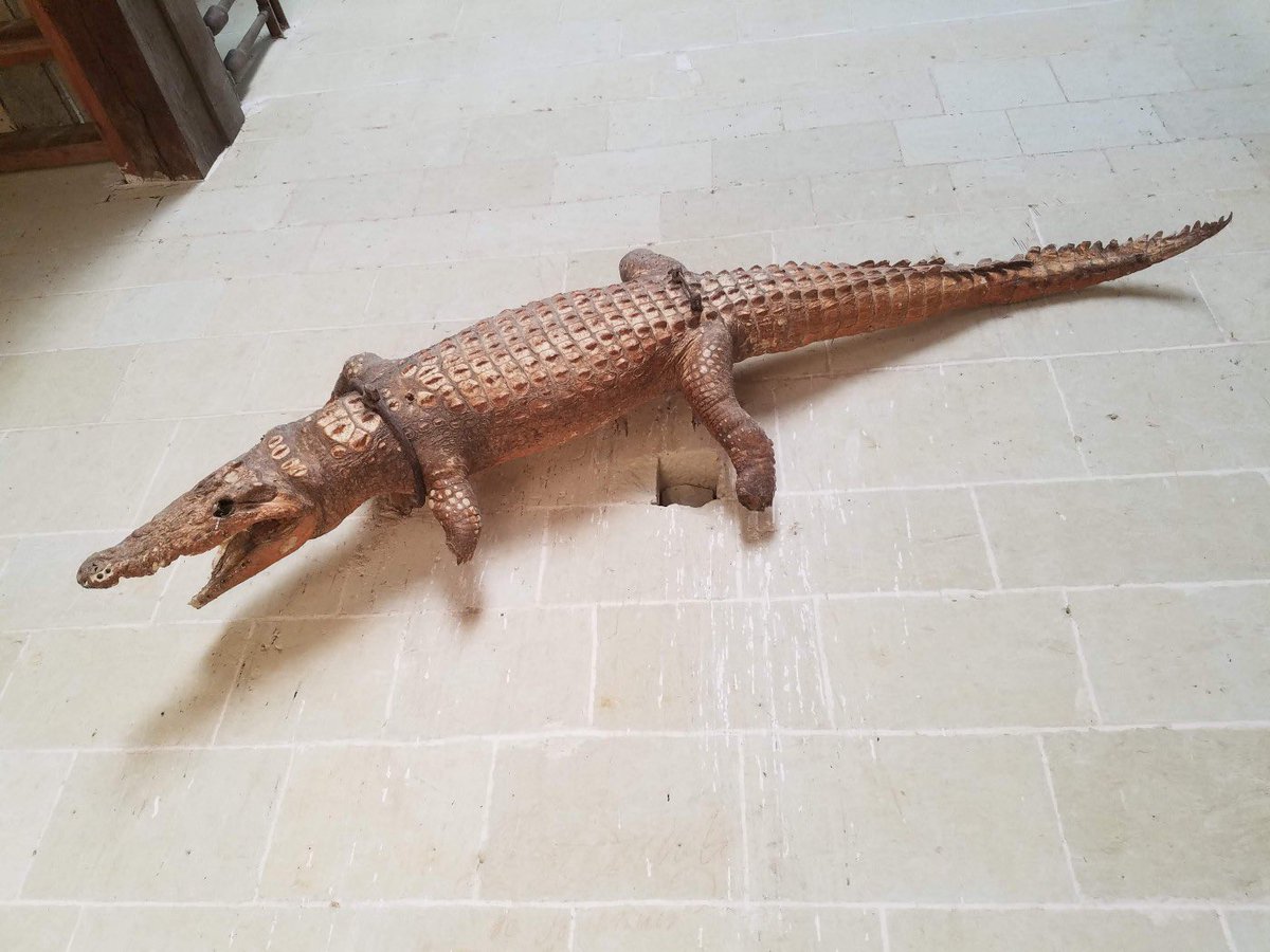 In Oiron at the church dedicated to Saint Maurice in France.Like most of these crocodilians, where they came from is a mystery, but the town adores it so much it’s on the seal.