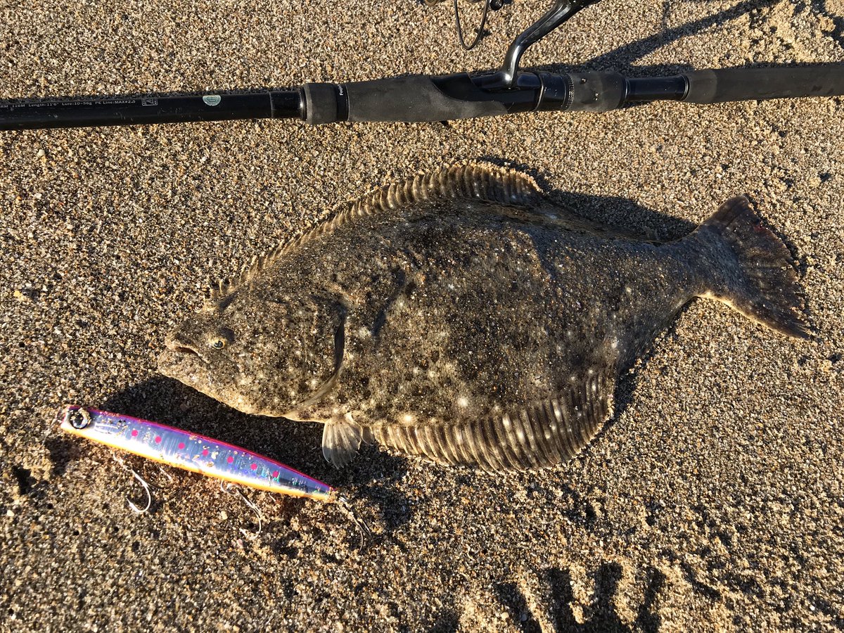 鹿島灘サーフ 鹿島灘サーフ