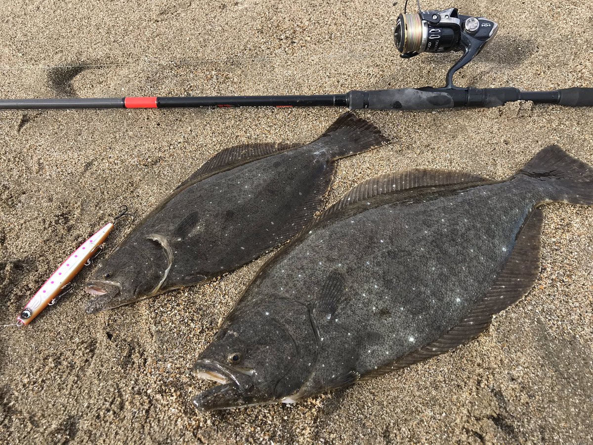 鹿島灘サーフ 鹿島灘サーフ