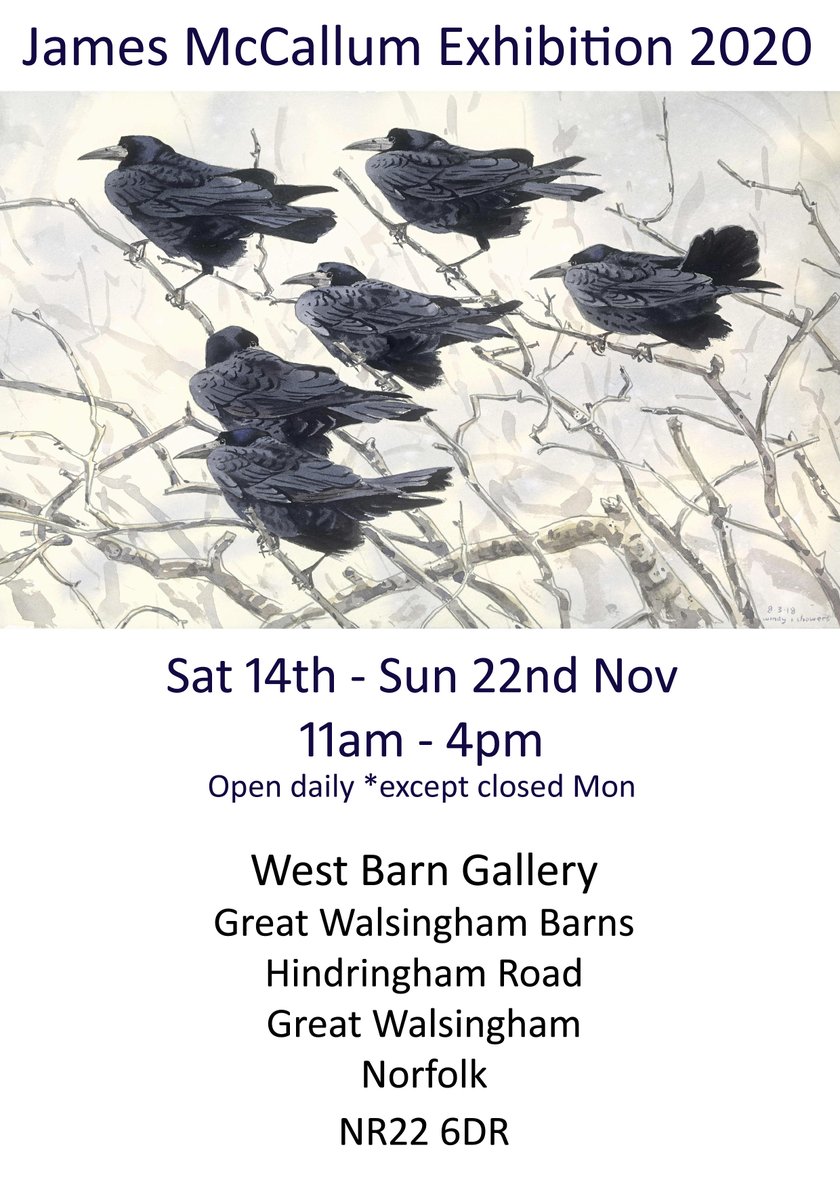 James McCallum tweet media