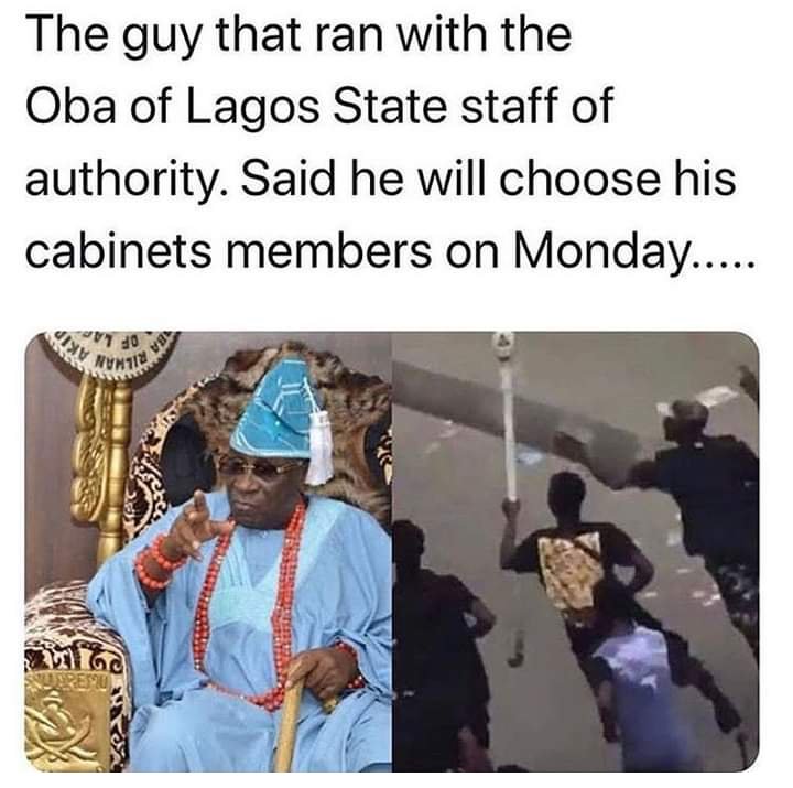 Kingmoses tweet media