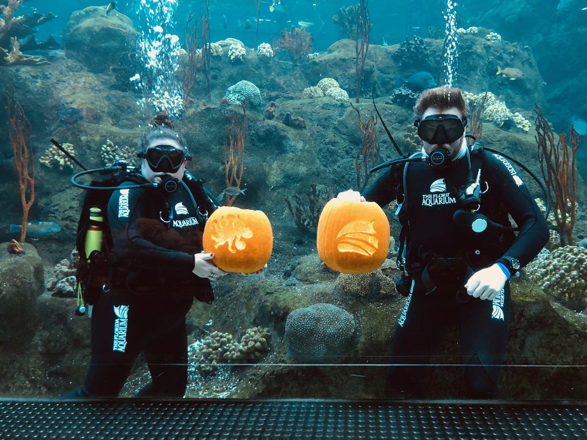 The Florida Aquarium Visit St Petersburg Clearwater Florida