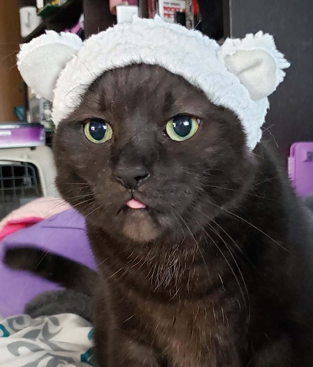 SecretlySara's tweet photo. Greyson was not super impressed with his birthday hat. But he's a good sport. https://t.co/LtKEtsR2X9