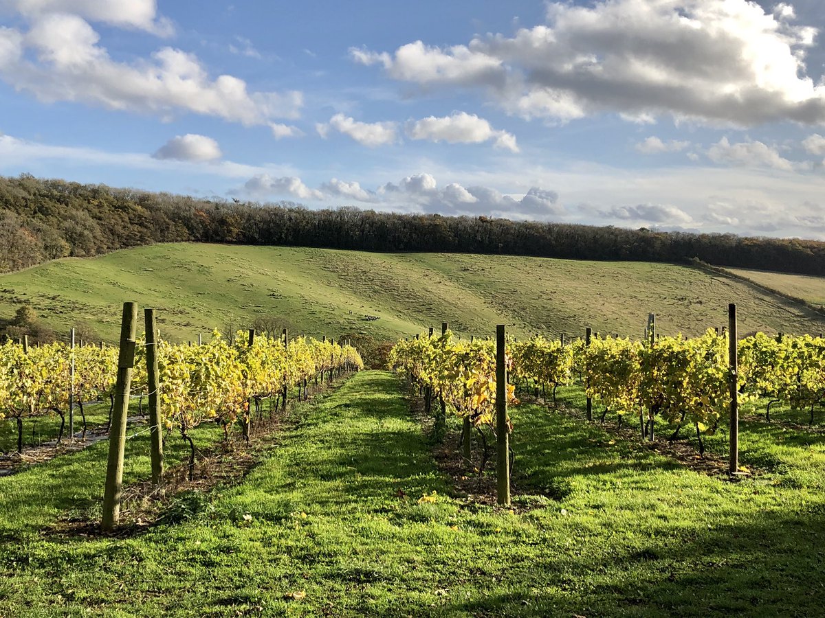 Gorgeous walk to Weedly Springs near South Cave. Beautiful #autumn colours 🍁🍂🍁 #yorkshirewolds #loveyorkshire