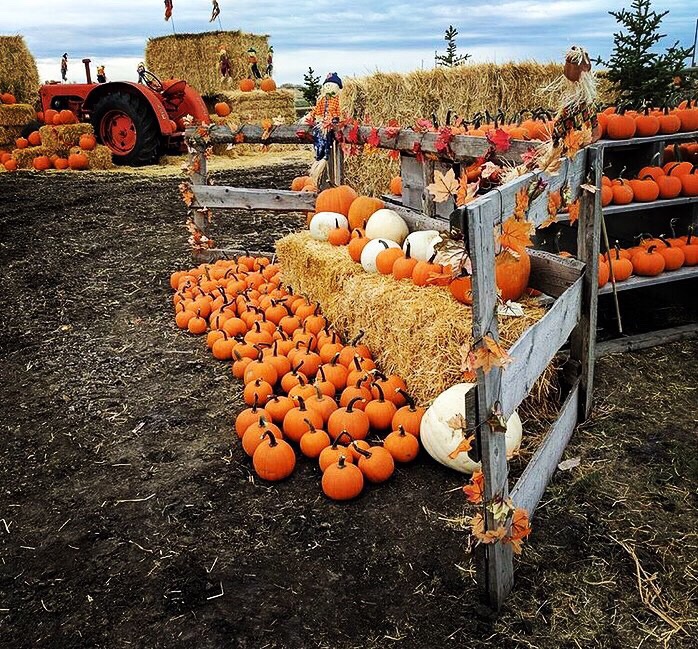 Sheraton Suites tweet media