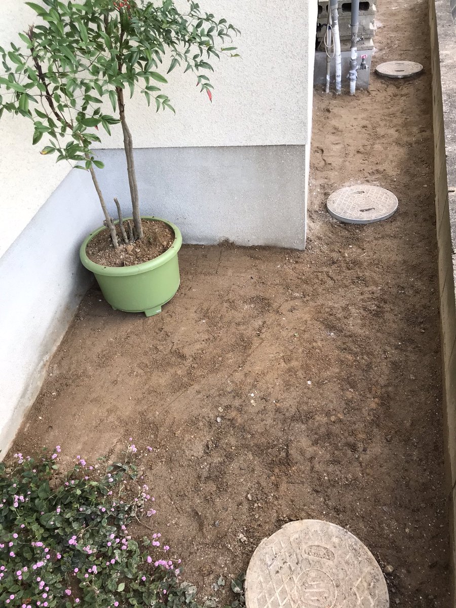 Okoyk たま 土曜朝から台風でベランダに溜まった葉っぱをやっと掃除 からのカインズ セリア サンカクヤ ルミエール サニーと梯子しまくりで 流石に昼はジョイフル またソース断り損ねた 午後は裏庭の南天を鉢に移してブロックを全て外して除草 消石灰 Okoyk たま 土曜朝から台風でベランダに溜まった葉っぱをやっと掃除 からのカインズ セリア サンカクヤ ルミエール サニーと梯子しまくりで 流石に昼はジョイフル またソース断り損ねた 午後は裏庭の南天を鉢に移してブロックを全て外して除草 消石灰