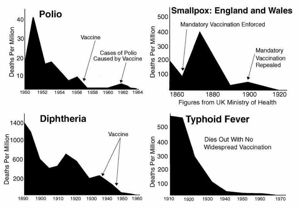 2/ ... biology & nutrition in relation to viruses & other infectious diseases. There is plenty of evidence showing that malnutrition is the main driver behind all the epidemics & pandemics that have ever happened in the human history.