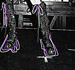 𓏻  ᚕᚐ𓎆̳ ˉ✟̸ rosé.🟣 /  ╸  ⁎ ลฟตท ✟̸ 𓈒 ᚐ𓊪̳ᚕ  𓏻