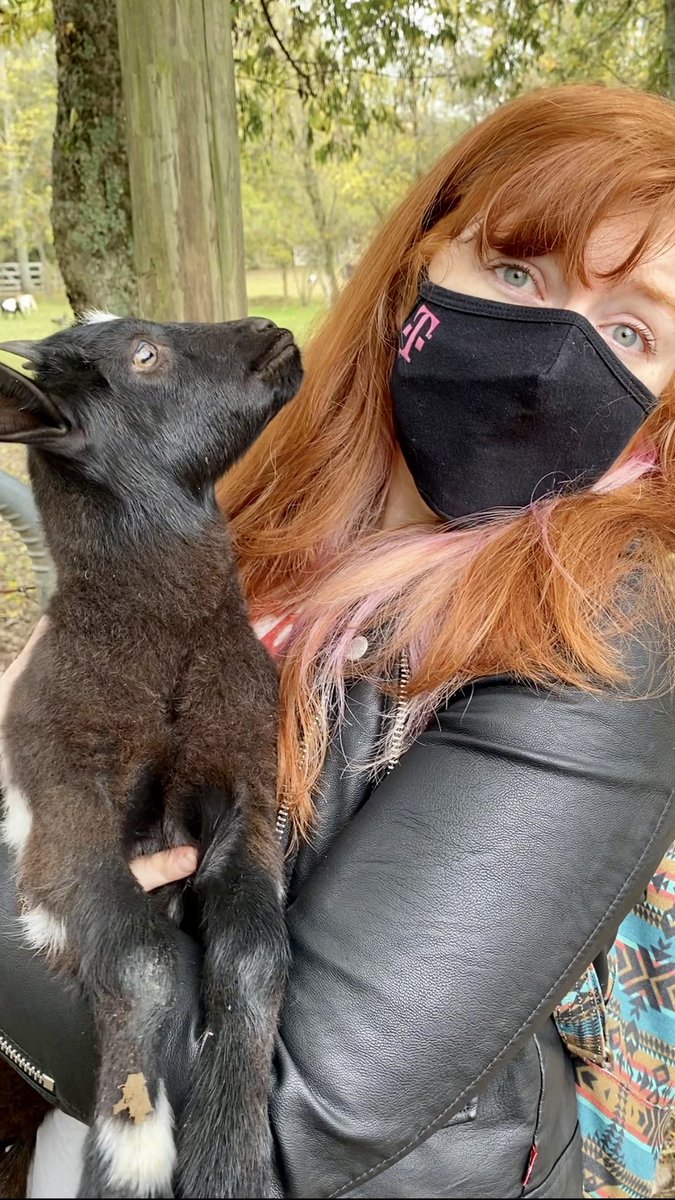 ecaitlinmurray's tweet photo. #SundayFunday Adventure β Part Two: HORSEBACK RIDING AND BABY ANIMALS. #BabyGoatsofTwitter π (that baby goat snuggled me and I almost cried π€·π»ββοΈ) https://t.co/K3KF403C8c