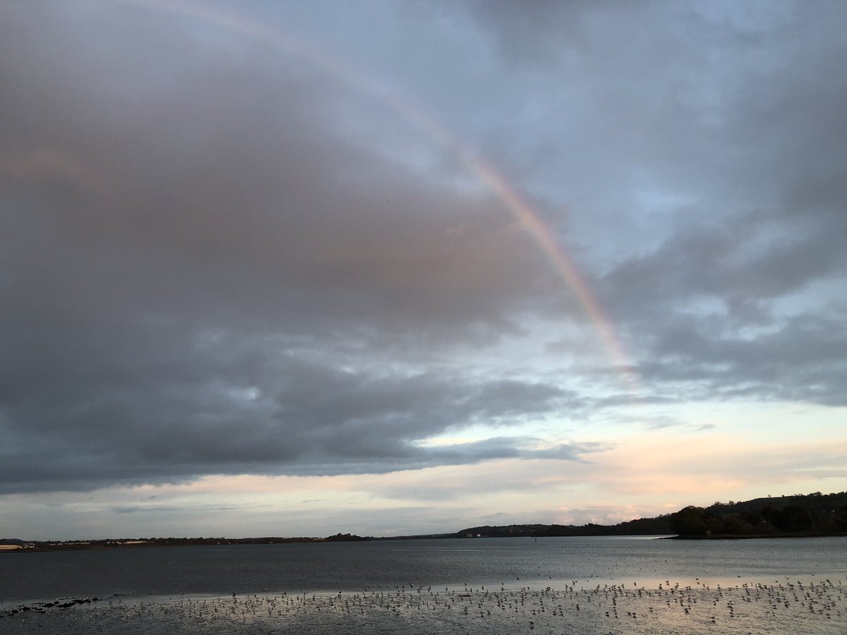 Catherine Garrett tweet media