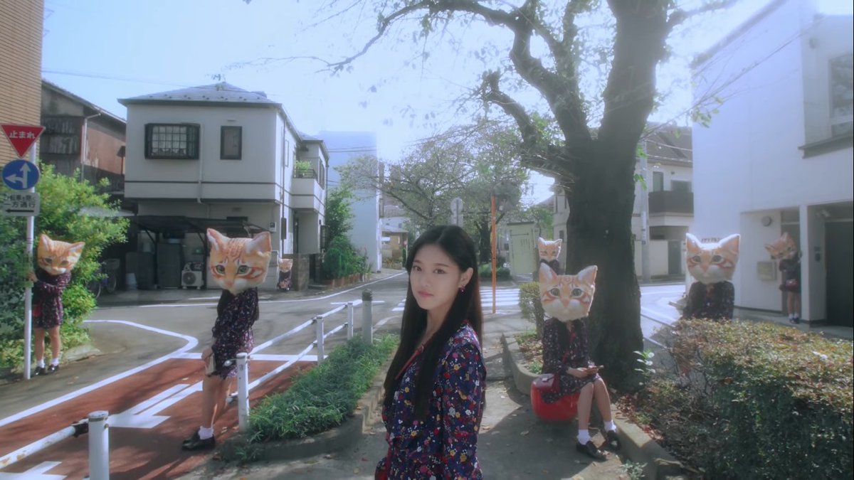 cats symbolize waiting for the right moment to act. when the cat heads appear, they symbolize that hyunjin has finally gathered enough courage to seek out heejin and no longer watch from afar