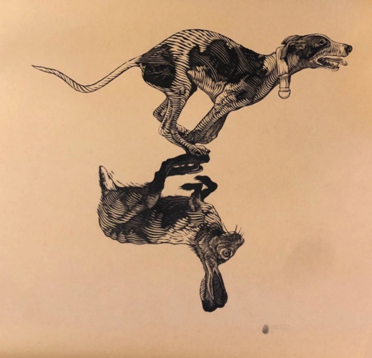 wileygalleries's tweet photo. https://t.co/F4pgd9InU2
Thank you for my shadow
2019
Woodcut print
49 × 49 in
124.5 × 124.5 cm
Series Apparent Reality
#osmeivyortega #wileygalleries #cubanart #cubanartist #contemporaryart #artcollector #art #artecubano #artistacontemporaneo #arte #artecontemporaneo #artistico https://t.co/8bPzDgrm0a
