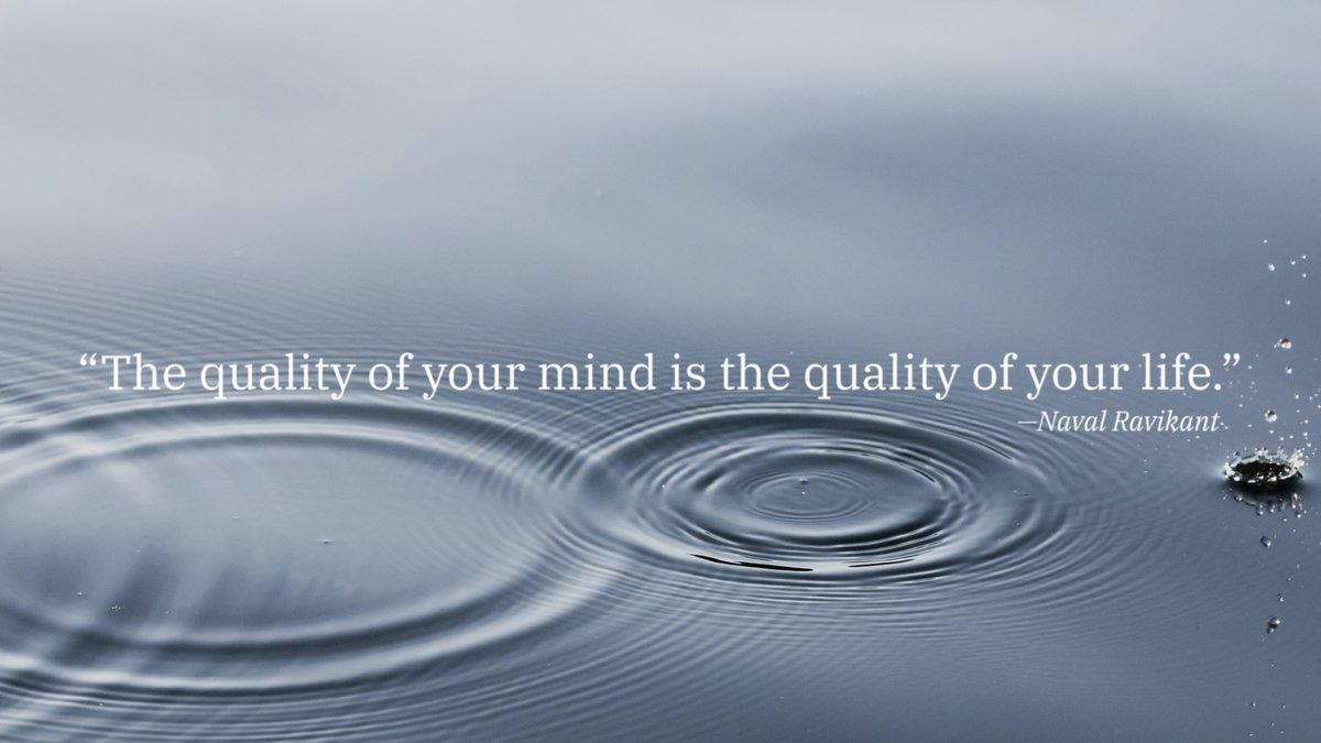 Artistic Wisdom tweet media