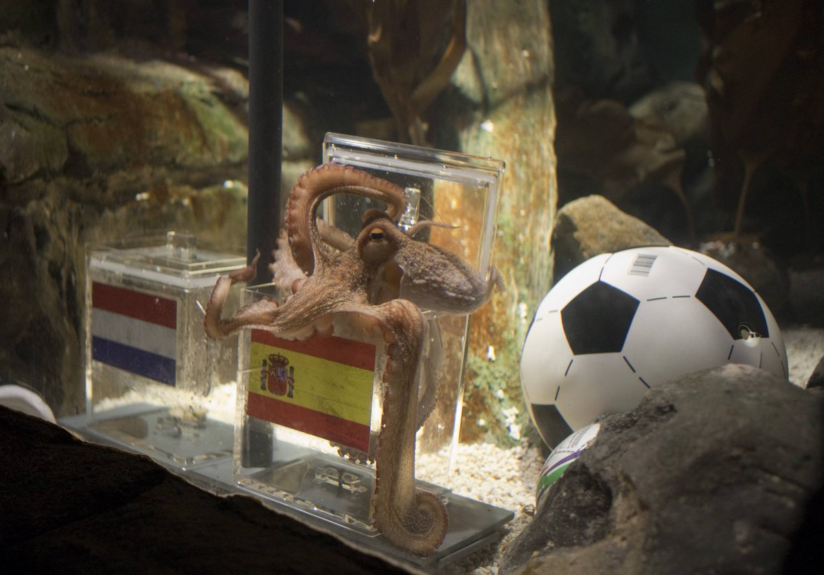 Fifa World Cup Fifaworldcup Twitter