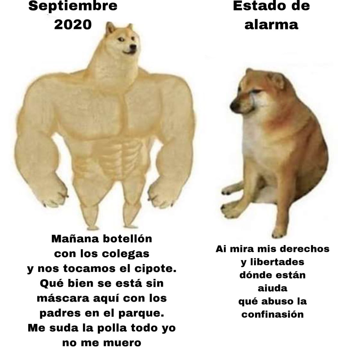 la alarma a las 5 de la mañana