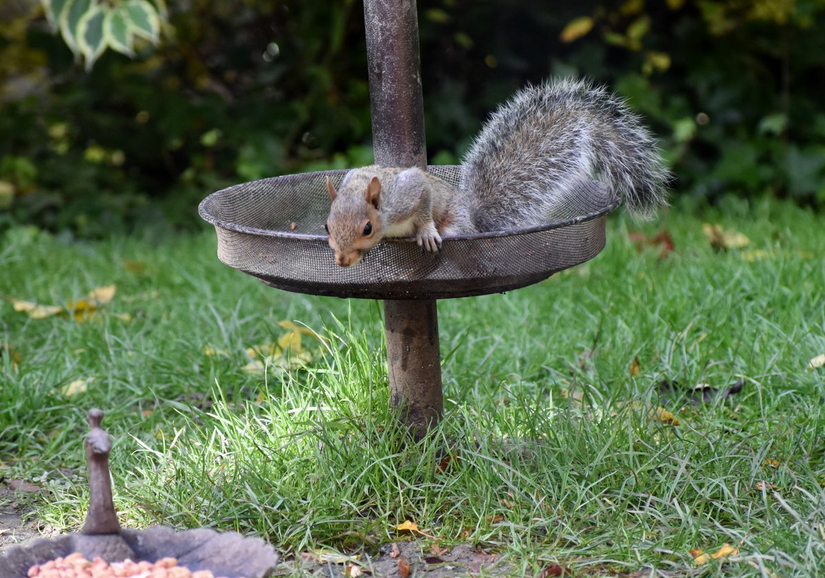 Josephine 💙 tweet media