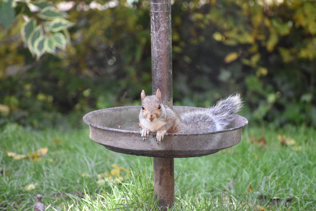 Josephine 💙 tweet media