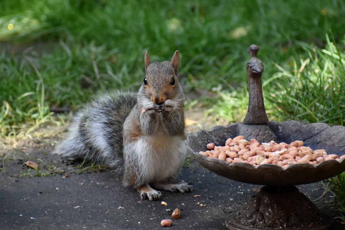 Josephine 💙 tweet media