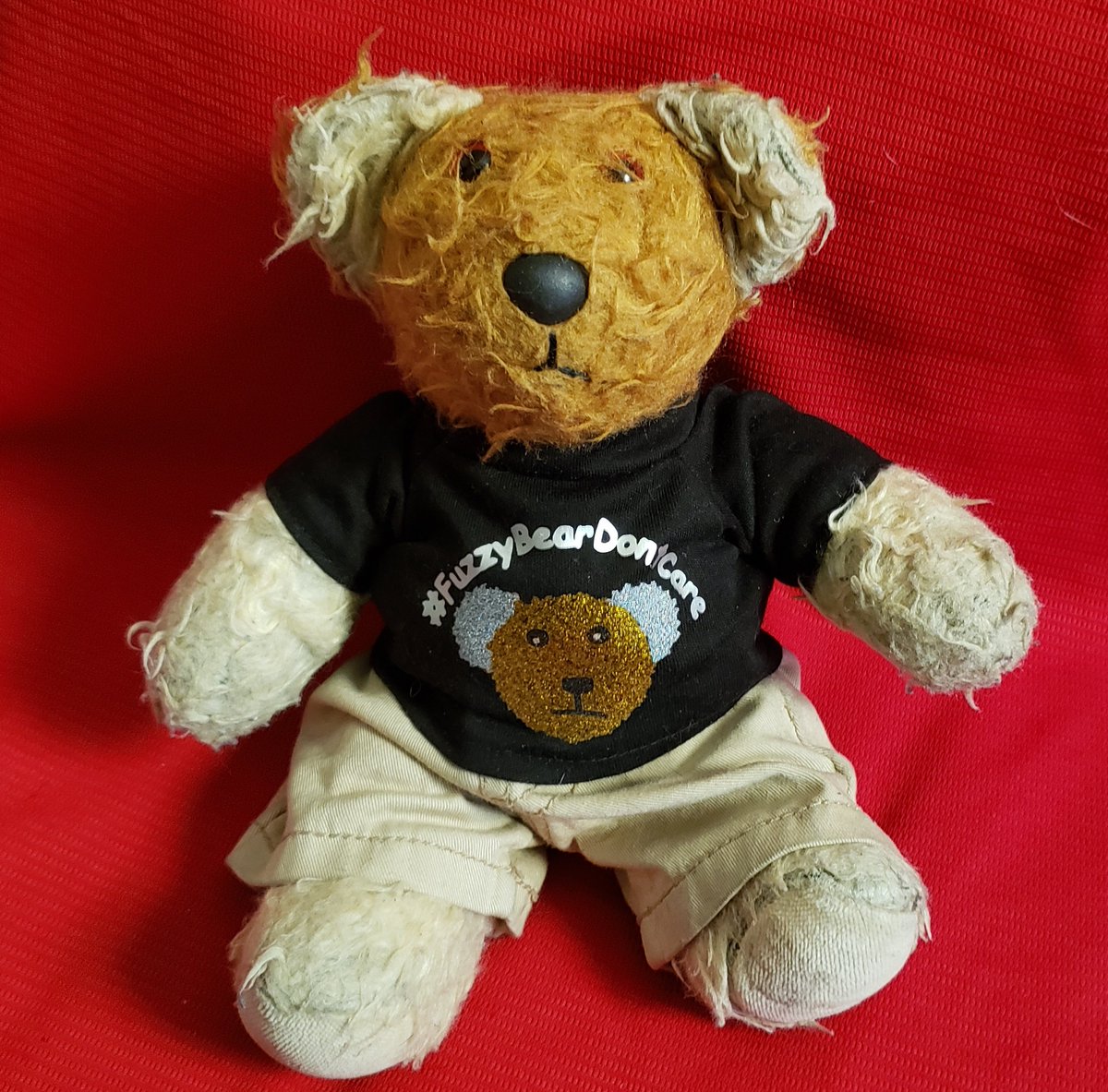 Hello Twitterland!! How is everyone doing today?? #FurryTails #ToddysHug #BeMoreToddy #TheHugHouse #FuzzyBearDontCare