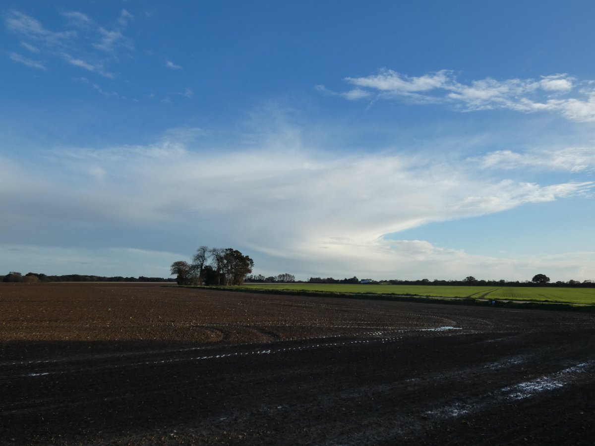 martgathercole's tweet photo. Post #clockchange afternoon walk around #Elmstead some lovely light and cloud formation followed by an early #sunset #darkbyfive https://t.co/NUa1YUES39