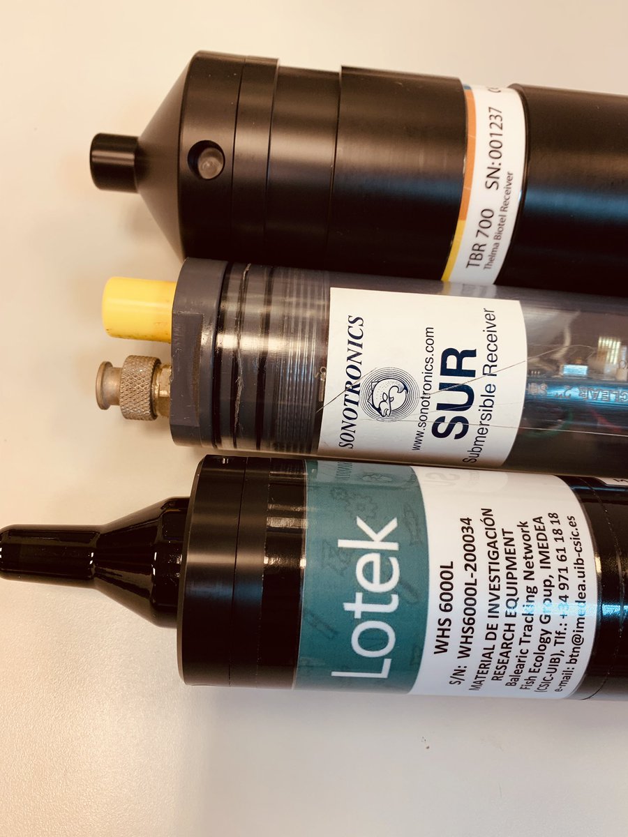 josep_alos's tweet photo. We are ready for testing the new transmission Open Protocol (OPi/s) promoted by @AquaticTracking from brands that agreed on their inter-compatibility in their acoustic Tracking systems @ThelmaBiotel @LotekWireless @SONOTRONICS1AZ #balearictrackingnetwork https://t.co/CKXwoNvkv5