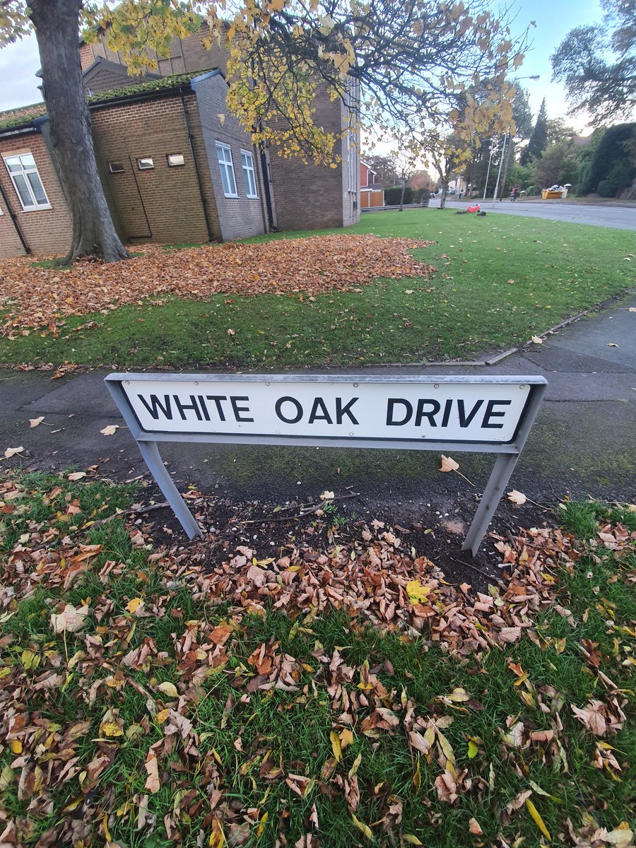 TettenhallWMP's tweet photo. #Finchfield #streetwatch have conducted a patrol around #castlecroft #finchfield #tettenhall for #mischiefweek. ๐ฎโโ๏ธ๐ฎโโ๏ธ๐ป๐ฝ https://t.co/K5sF4m8f14