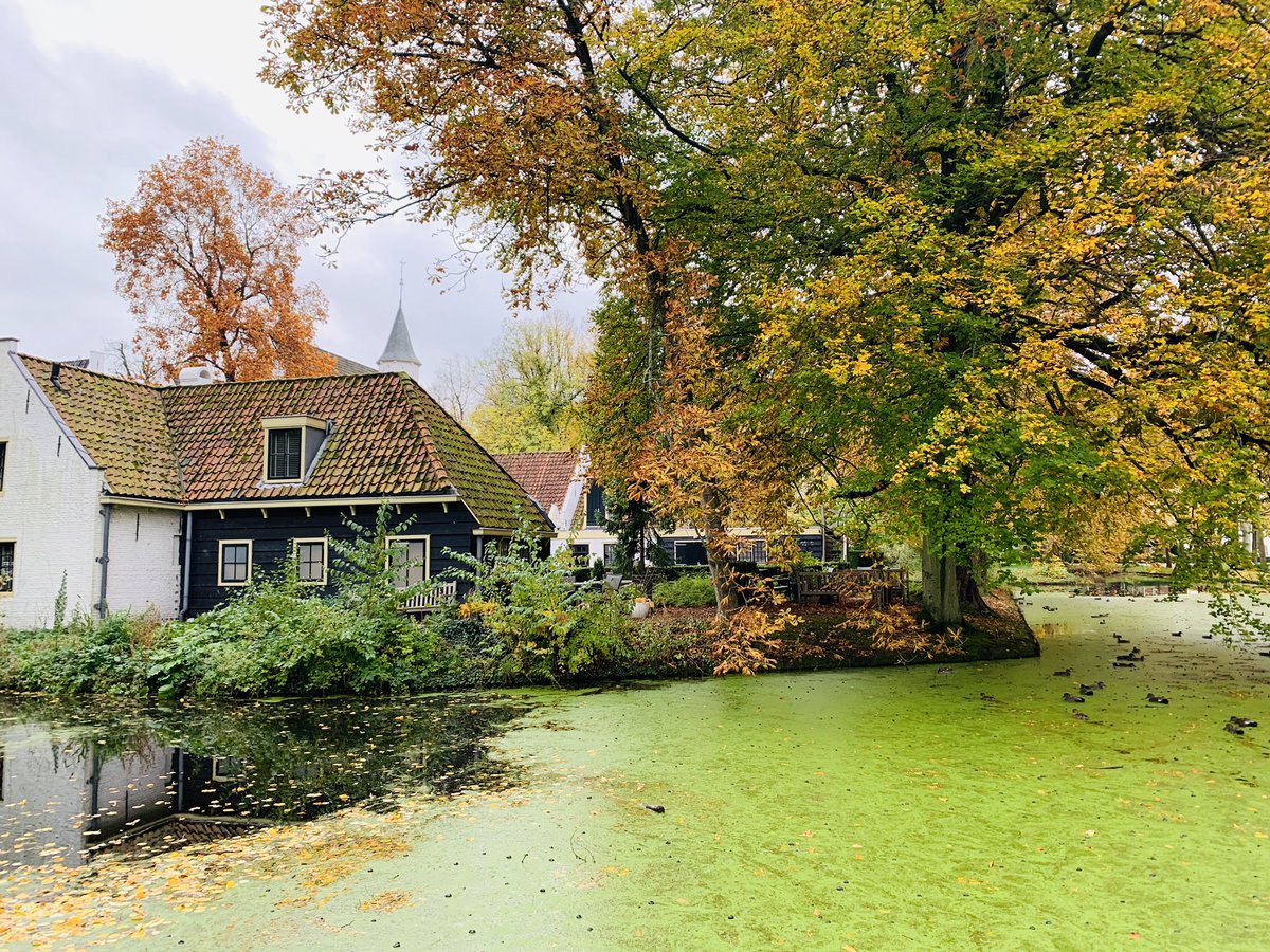 FalehaUbeis's tweet photo. Sunday walking trip in the nature of #autumn in the #Netherlands in #Rhoon. #visit_theNetherlands_for_more_than_business🍁🌷#Welcome_to_the_Netherlands. Enjoy the pictures, I hope I can welcome you soon🌷#Sabisk #rhoonkasteel #rhoon https://t.co/jckddl0BnE