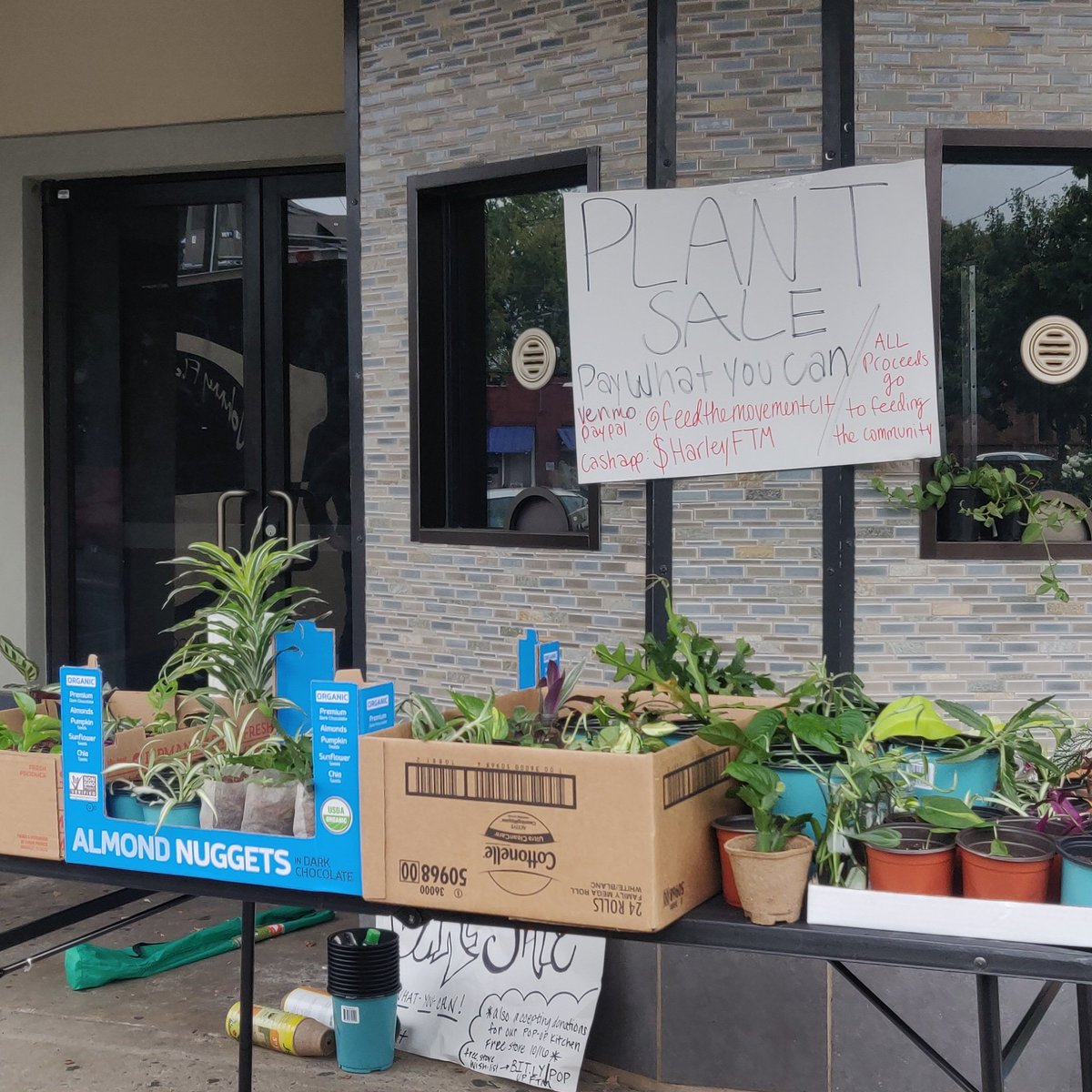 Harley4Justice's tweet photo. Pay what you can plant sale today!
#noda #clt #cltevents https://t.co/JB55ZWPVhp