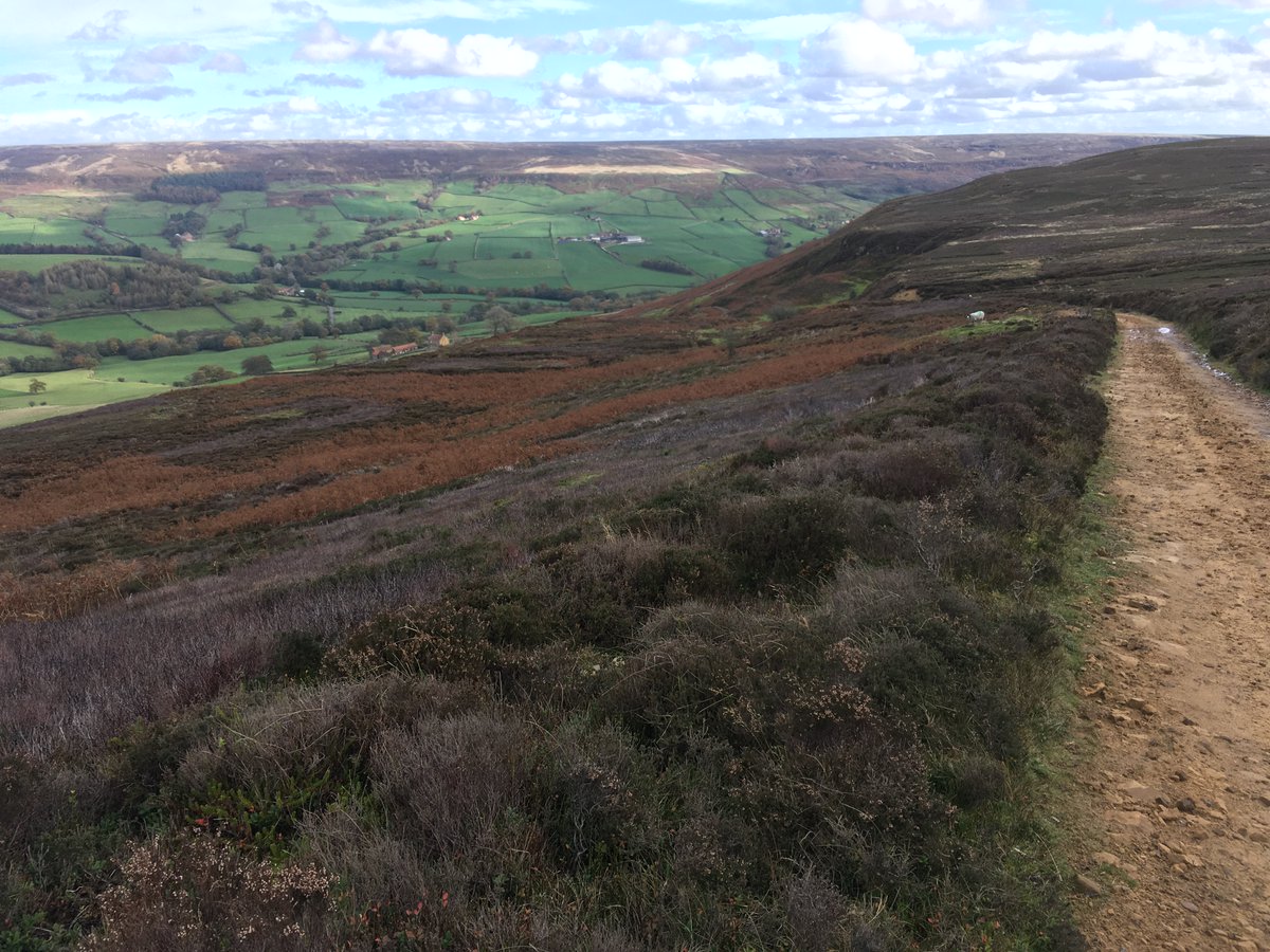 Design_York's tweet photo. Putting my new map reading skills into practice. An 8 mile walk from Low Mill in #Farndale with friends. 🥾Stunning colours. 🍂
@northyorkmoors #Lowmill #churchhouses #bransdale #Yorkshire #NorthYorkMoors #walking https://t.co/ILLrBZoZ1r