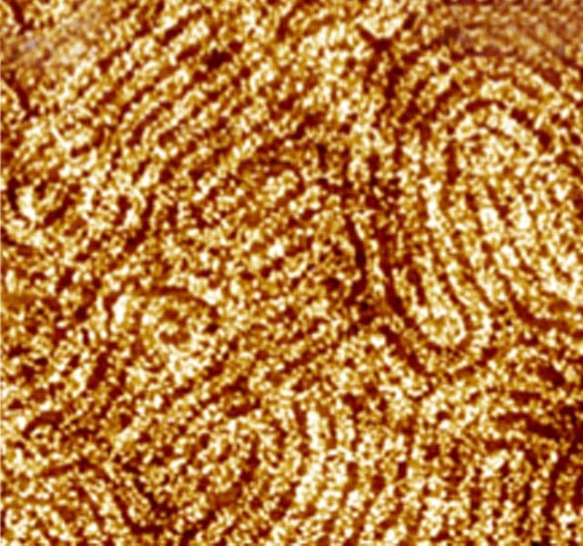 MRSBulletin's tweet photo. From the MRS Bulletin: Assembly of #BlockCopolymers and #ColloidalNanoparticles allows resolution enhancement and the definition of essential shapes to pattern #circuits and #MemoryDevices. #SelfAssembly #electronics #MaterialsScience @Penn https://t.co/wLehBJP1pS https://t.co/lbZBXdraey
