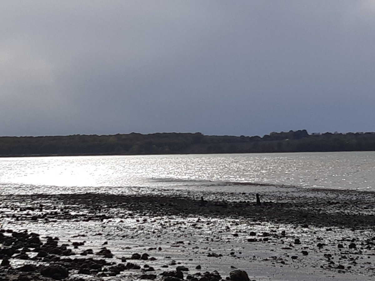 Beautiful walk at Harkstead!