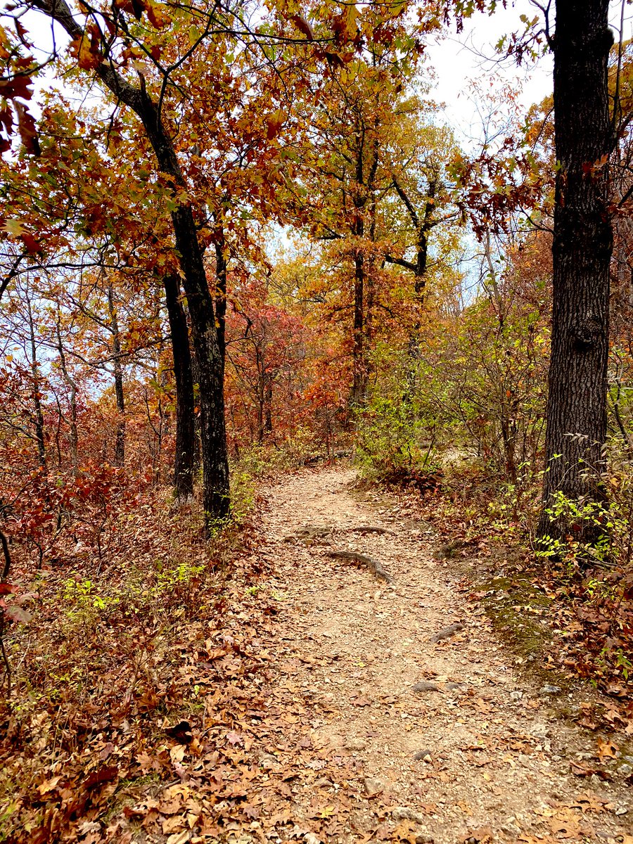 SpacesGF's tweet image. Fall is my favorite time of year! 😍