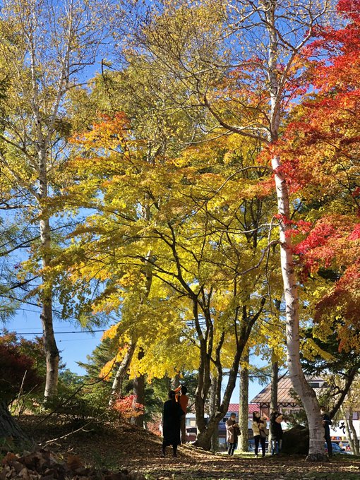 北八ヶ岳ロープウェイの紅葉21 見頃や口コミ最新状況など 情報発信ブログサイト Blue Rose