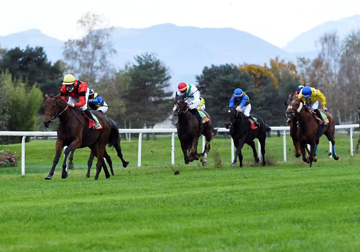 Jour_de_Galop's tweet photo. GENMOSS comme FRANKEL ! La reine de l'anglo-arabie a remporté son 14e succès en autant de sorties. Dernière étape avant sa carrière de poulinière : le Grand Prix des Anglos à Toulouse le 11 novembre ! https://t.co/mvfZNj7wru