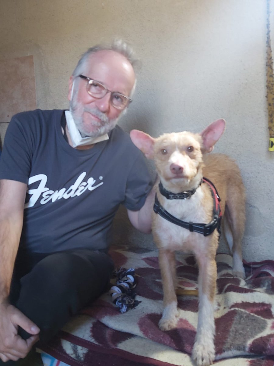 Este perrito estaba en la calle enfermo, lo rescatamos y lo llevamos a un refugio. Se curó y está listo para encontrar familia q lo quiera. Tiene 1año aprox y se lleva bien con perros/gatos.
Se llama Panchito y como padrino me comprometo a interesarme por él y ayudar. 👉640257772