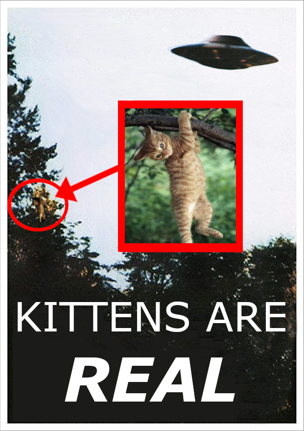 STFUMovieTalk's tweet photo. Ever since I was young and watching the #xfiles I wanted to believe, but now there's proof!
@BybeeWinecloud
#paranormal #hangintherekitty #kittens #humor https://t.co/2KnyjmhyqO