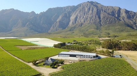 FreshPlaza_com's tweet photo. The grape season is back to normal, but the world is not - @modderdrift
https://t.co/jYUToU57X7 https://t.co/ib6wgfkz2X