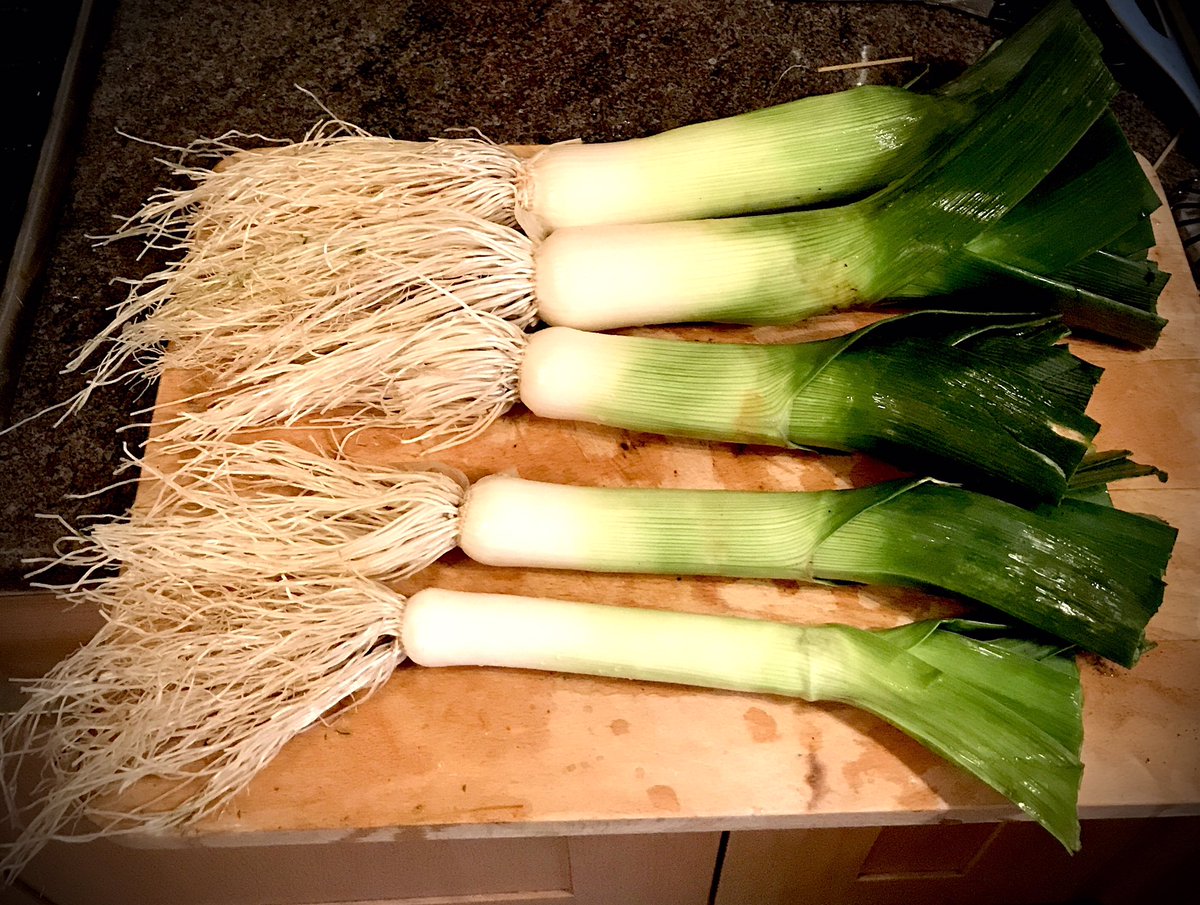 86_plot's tweet photo. 1st leek harvest of the year, a couple of hundred assorted bulbs planted, and a couple of hundred still to go in! #bulbs #springbulbs #gyo #allotment #nodig #leek https://t.co/0P6pc2O9rg