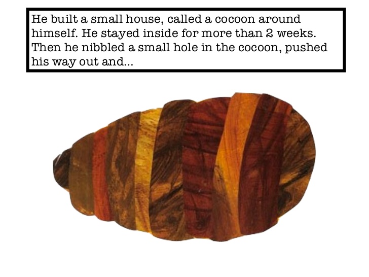 Very Hungry Caterpillar Cocoon