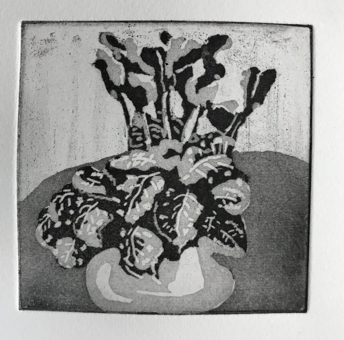 kewartstudio's tweet image. Lovely results from our Aquatint Refresher Day in the Print Studio with Diane C Frost and @C_Castle_Design 
#aquaitint #spitbite #etching #printmaking #handshakenaquatint #aquatintbox