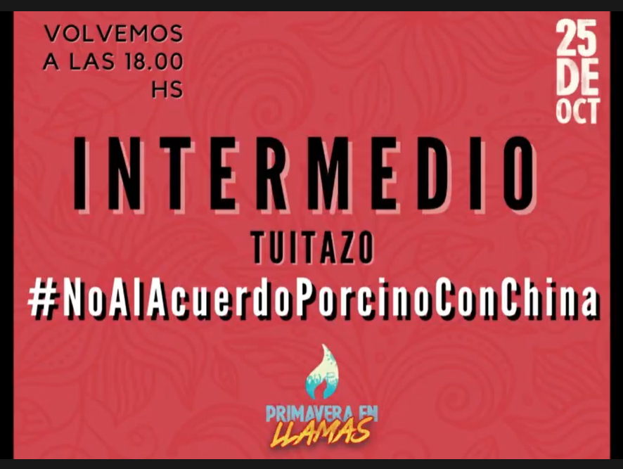 Explota el tuitazo! Les artistas, activistas, organizaciones, coletivas, ciudadanes, decimos claramente: #NoAlAcuerdoPorcinoconChina 🐽🔥