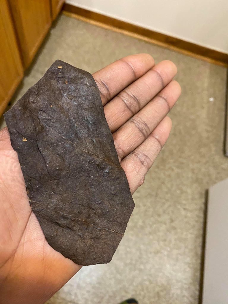 IAmKxngJxnes's tweet image. Wood blowers! Explain why this a million dollar back wood 😂