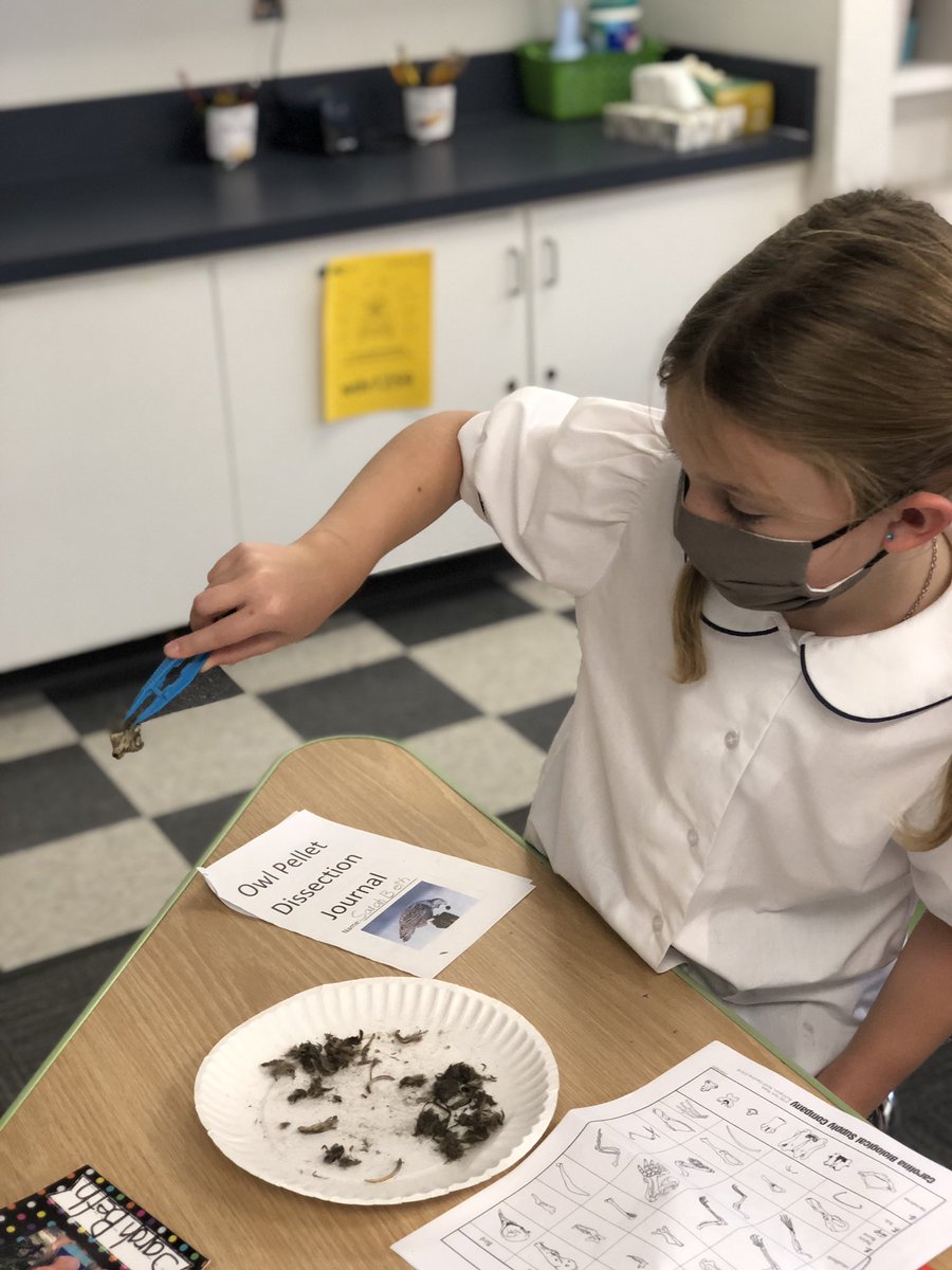 Cheryl Howard tweet media