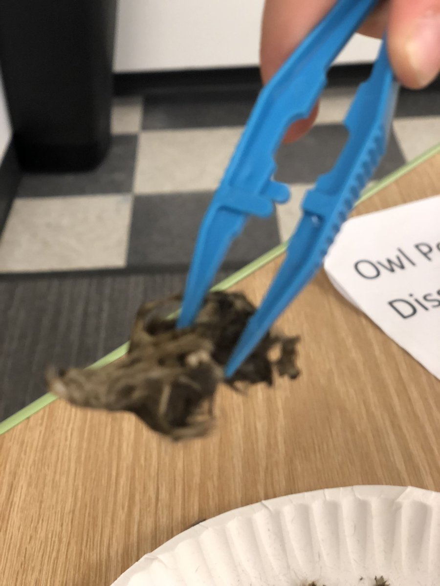 Cheryl Howard tweet media