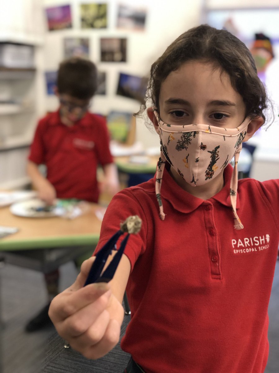 Cheryl Howard tweet media